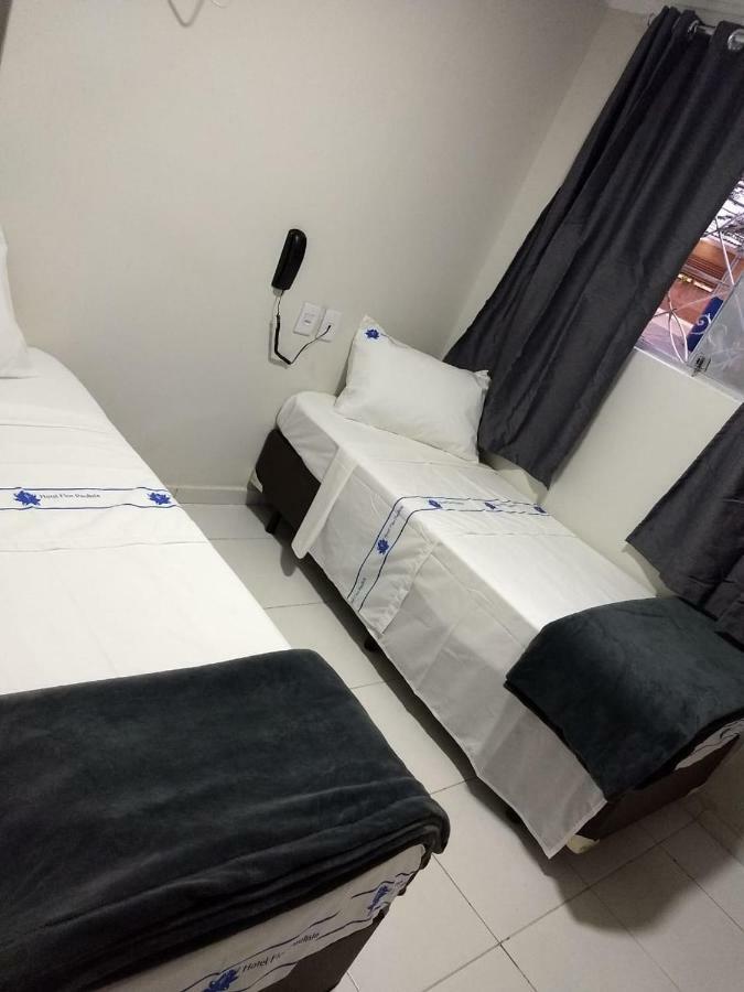 Hotel Flor Paulista São Paulo Zewnętrze zdjęcie